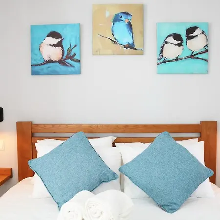 Apartamento Casa Do Azulejo - Blue